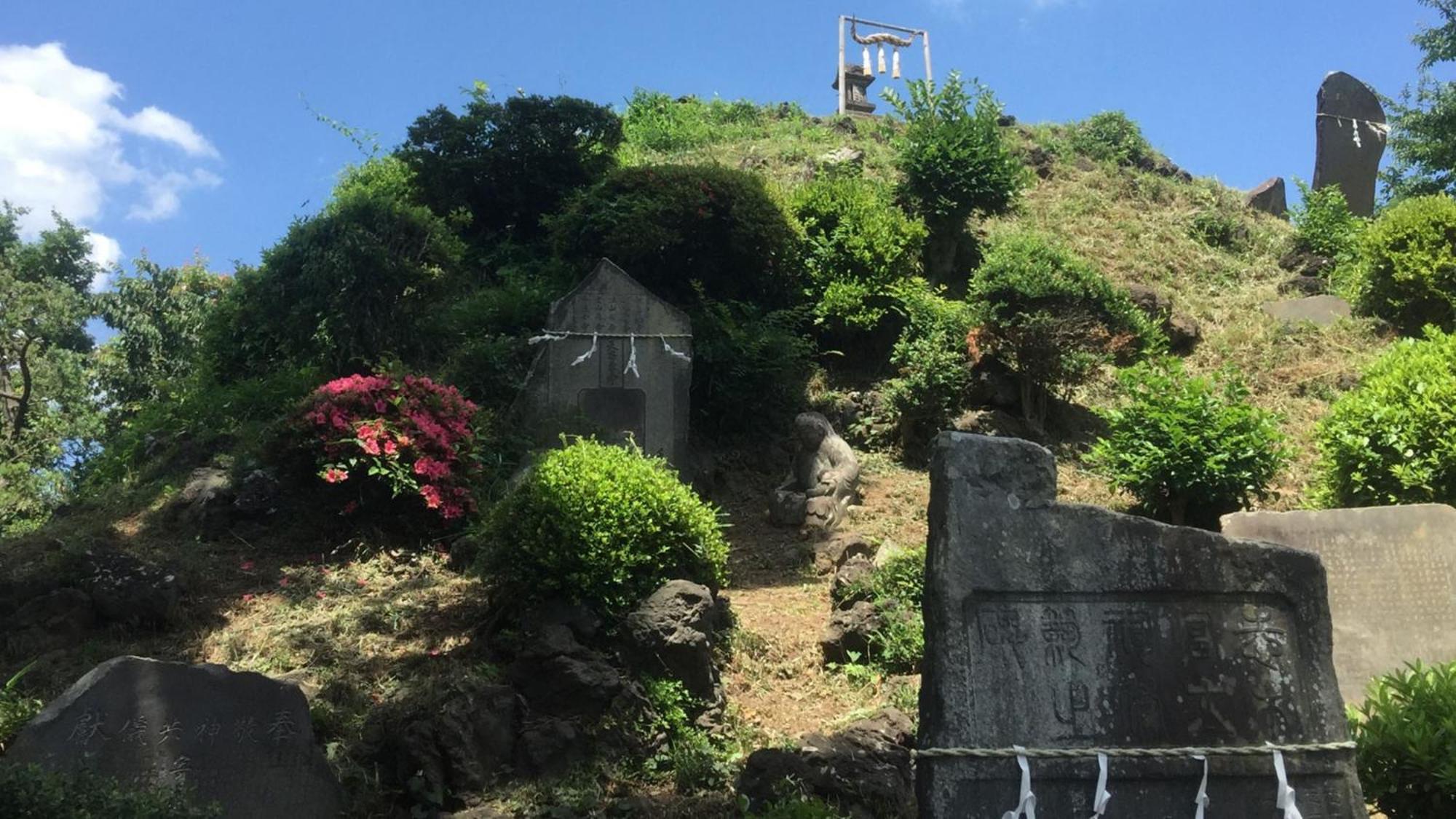 Toyoko Inn Shiki Eki Higashi Guchi Kültér fotó