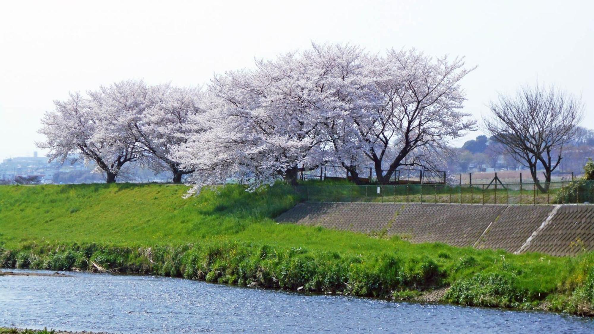 Toyoko Inn Shiki Eki Higashi Guchi Kültér fotó