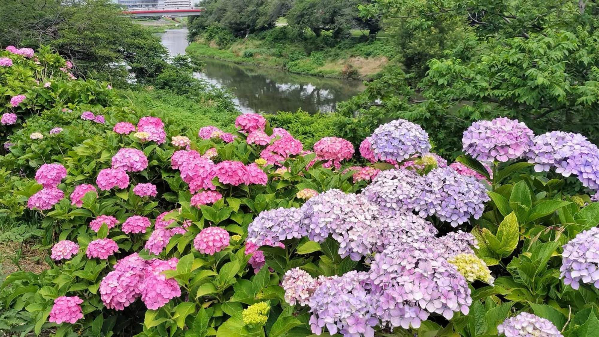 Toyoko Inn Shiki Eki Higashi Guchi Kültér fotó
